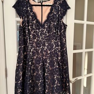 Eliza J navy blue cocktail lace dress